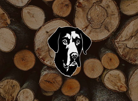 BOSSDOG dog logo on photo of wood rounds